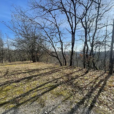 Bed & Breakfast Thera Montaigu-de-Quercy