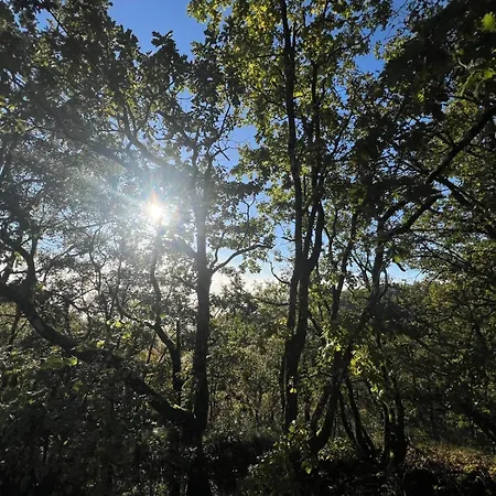 Bed & Breakfast Thera Montaigu-de-Quercy